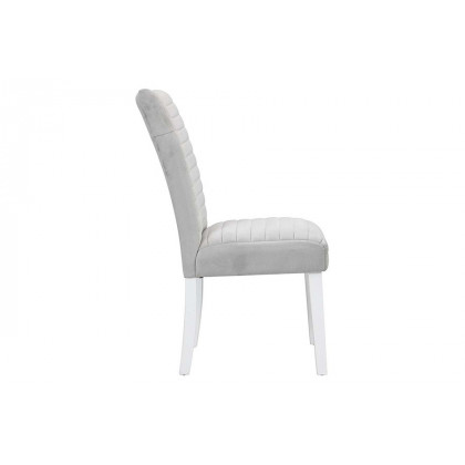 ACME - Elizaveta Side Chair (Set-2) in Gray/White High Gloss
