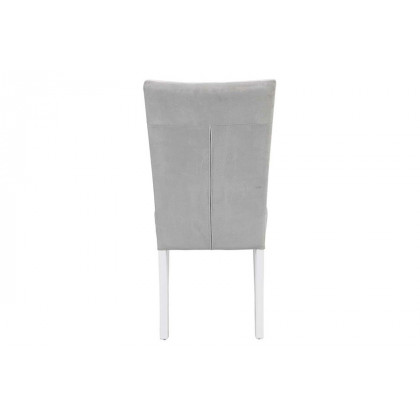 ACME - Elizaveta Side Chair (Set-2) in Gray/White High Gloss