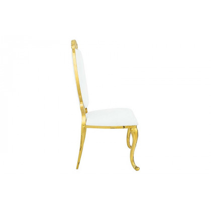 ACME - Fallon Side Chair(Set-2) in White/Mirrored Gold