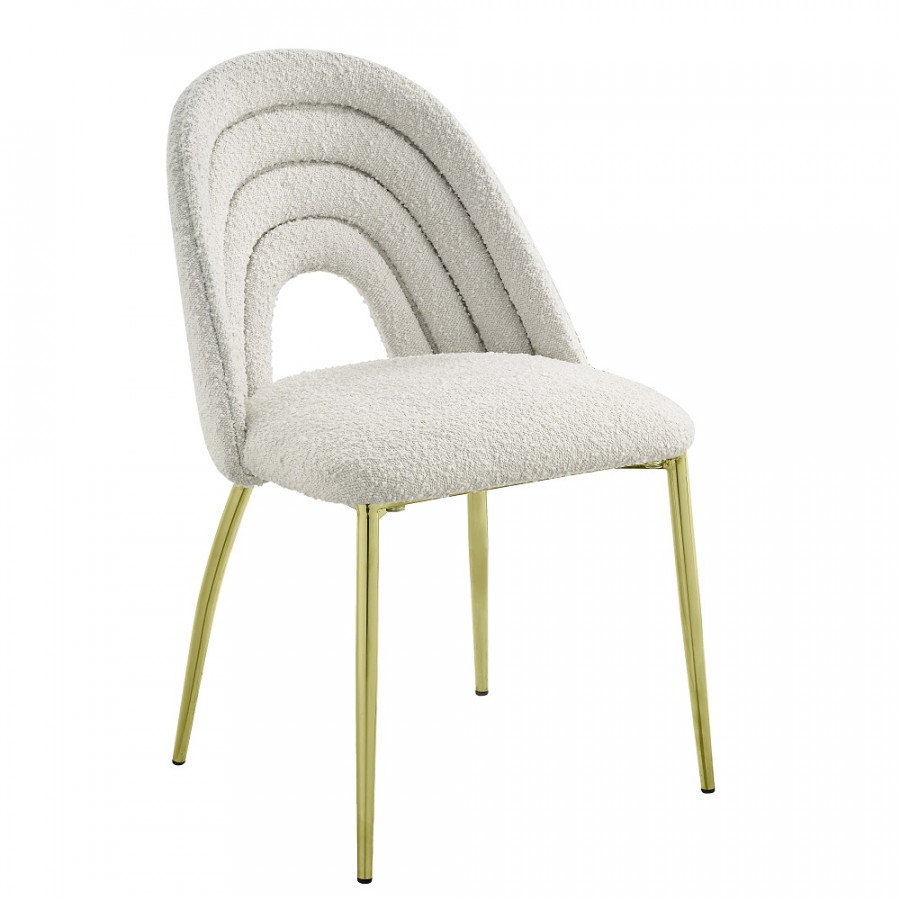 ACME - Fadri Side Chair (Set of 2) in Teddy Sherpa/Mirrored Gold