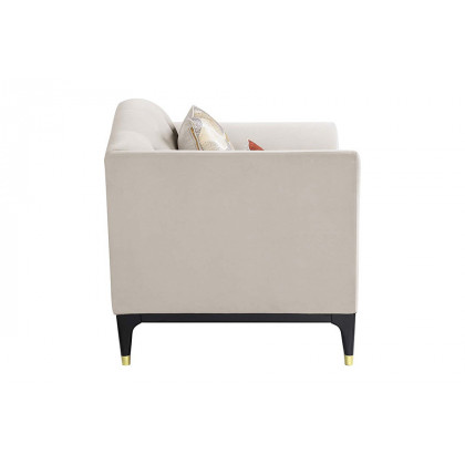 ACME - Tayden Chair with 2 Pillows in Beige