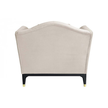 ACME - Tayden Chair with 2 Pillows in Beige