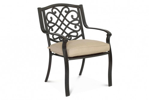 Agio™ - Aluminum Cast Dining Chair