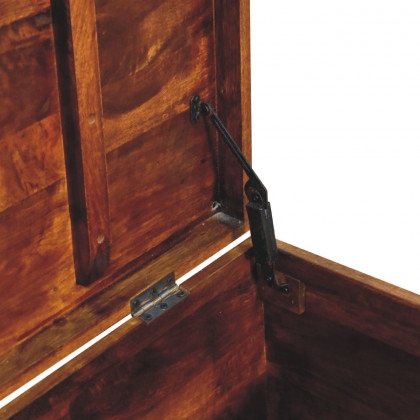 Artisan - Buffalo Hide Storage Trunk