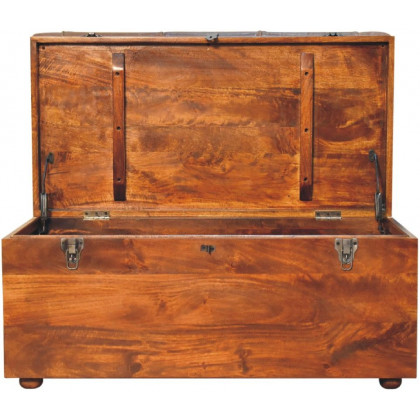 Artisan - Buffalo Hide Storage Trunk