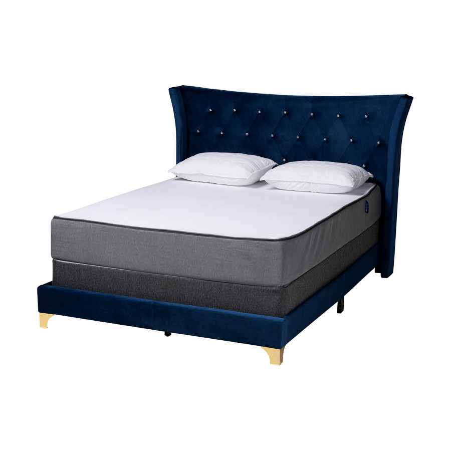 Baxton Easton Contemporary Glam Queen Size Panel Bed - Navy Blue Velvet
