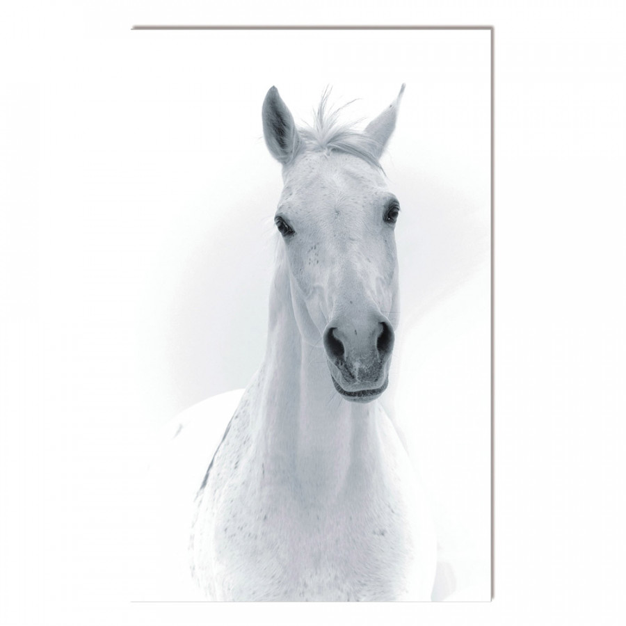 Bellini Acrylic Portrait of A White Horse - Multi-Color, 48x30
