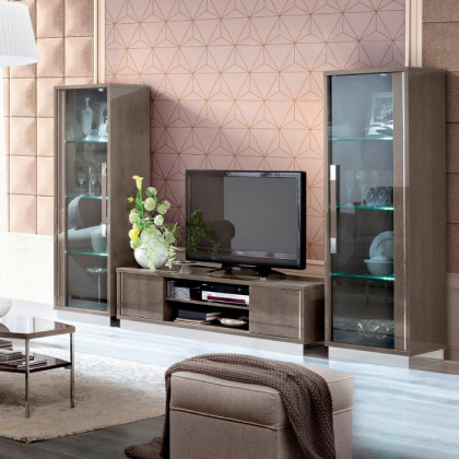 Camelgroup - Platinum 1-Glass Door China Cabinet with Dark Glass in Silver Birch