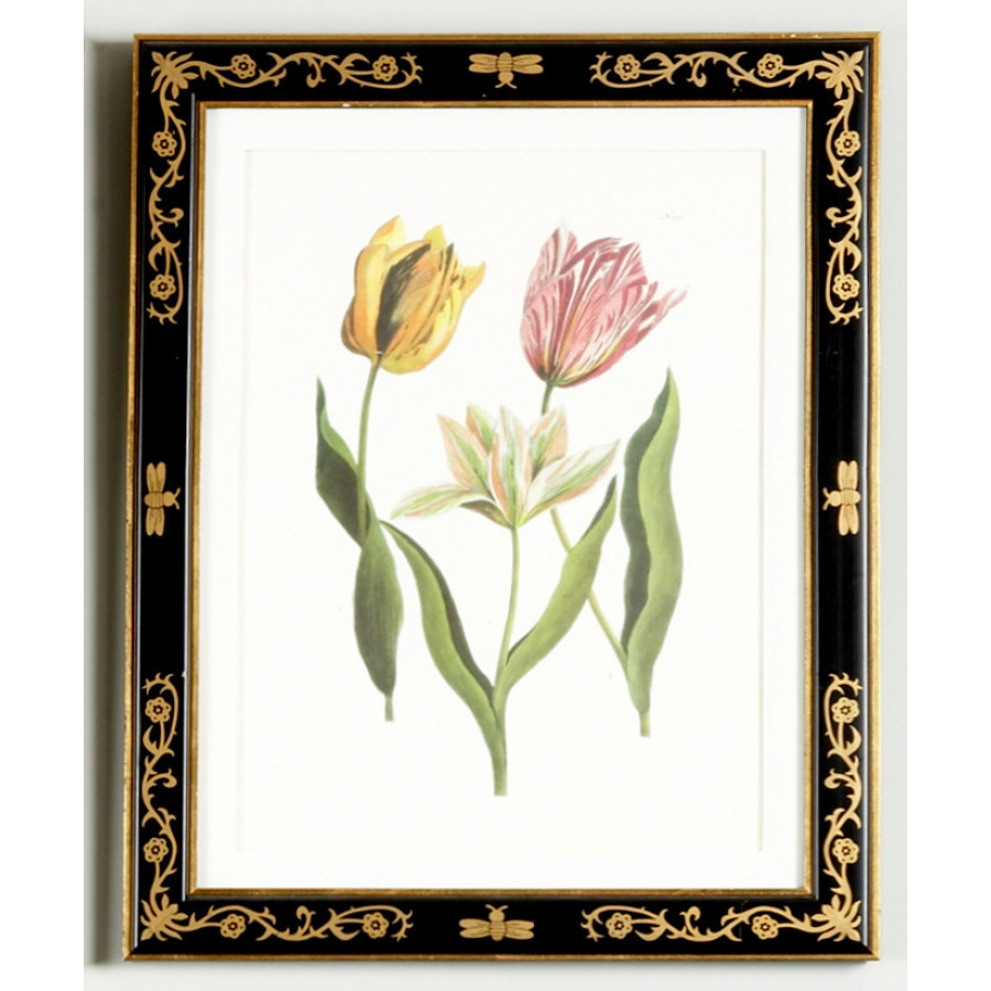 Chelsea House - Tulip/Dec.frame(991) With Gold Decoration in Black Frame