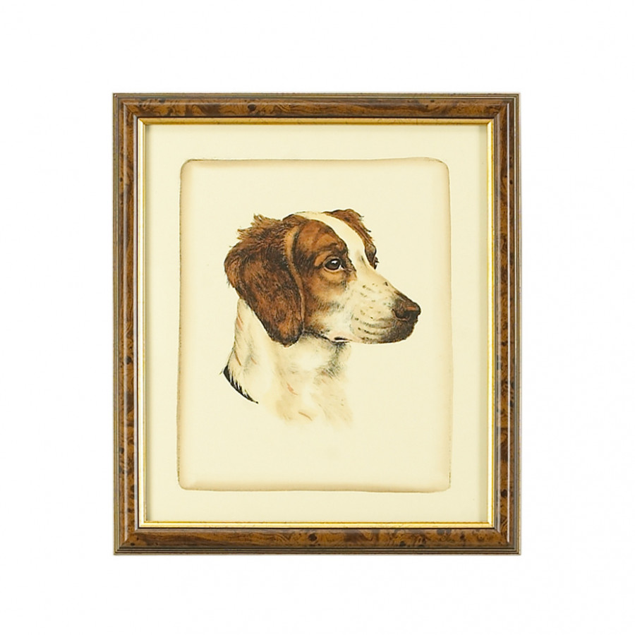 Chelsea House - Danchin Brittany Spaniel in Brown/Gold Frame