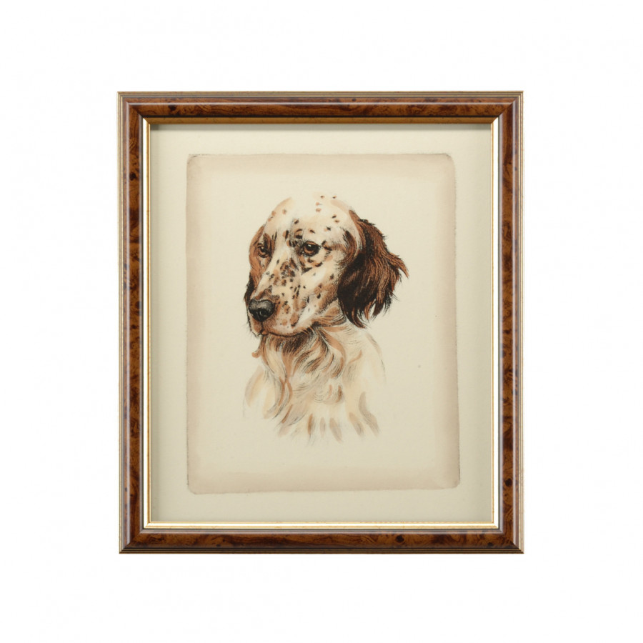 Chelsea House - Danchin Setter in Brown/Gold Frame