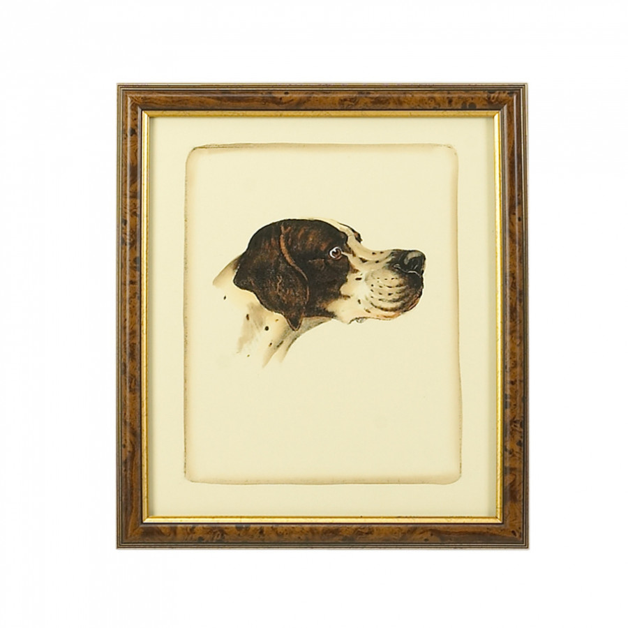 Chelsea House - Danchin Pointer in Brown/Gold Frame
