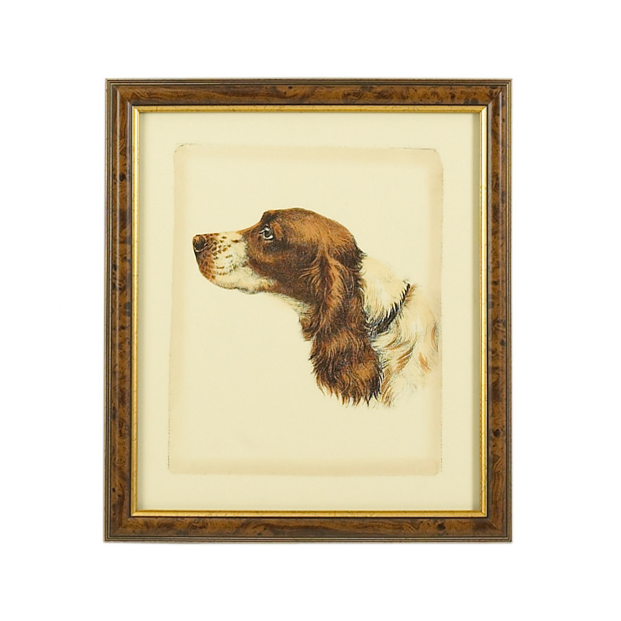 Chelsea House - Danchin Cocker Spaniel in Brown/Gold Frame