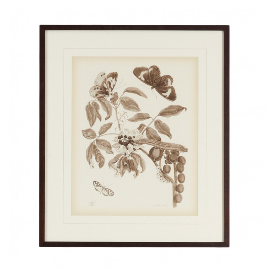 Chelsea House - Nature Study/Sepia II With V-Groove Mat in Bronze Frame