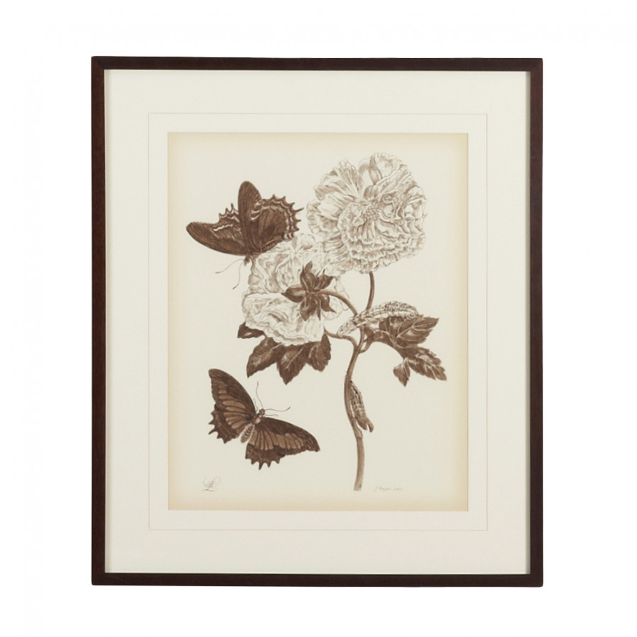 Chelsea House - Nature Study/Sepia IV With V-Groove Mat in Bronze Frame