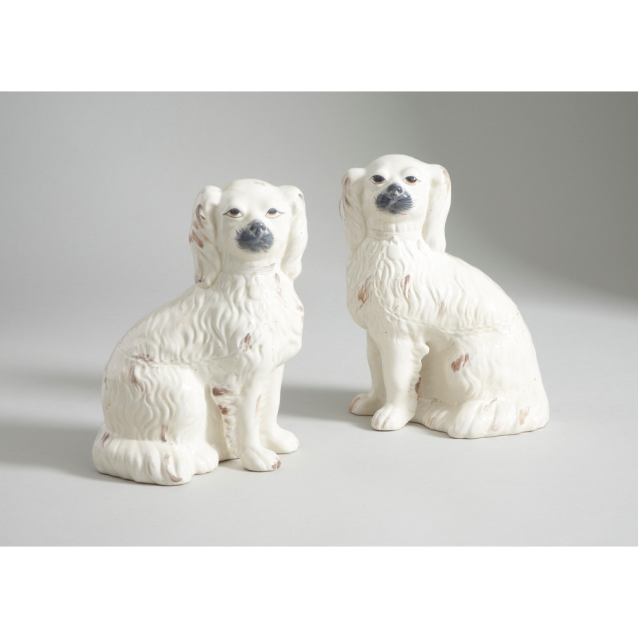 Chelsea House - Comfort Dogs (Pr)