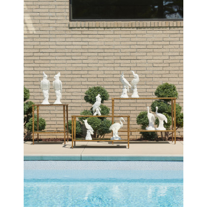 Chelsea House - Hope Parrots (Pr)