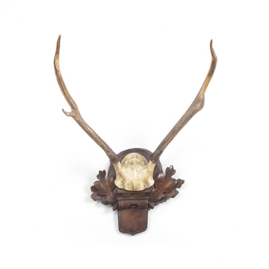 Chelsea House - Deer Small Antlers in Oak, Composite