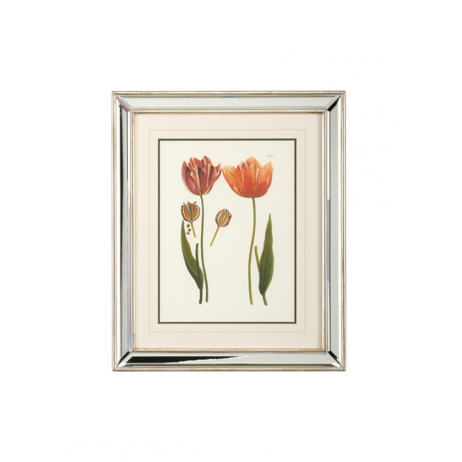 Chelsea House - Tulips D in Silver Leaf Frame