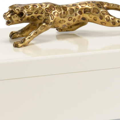 Chelsea House - Cheetah Box