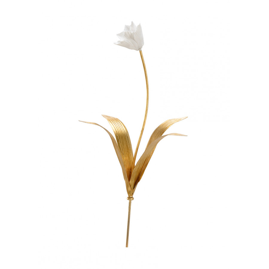Chelsea House - Tulip Stem