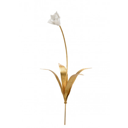 Chelsea House - Tulip Stem