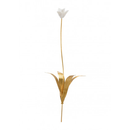 Chelsea House - Tulip Stem