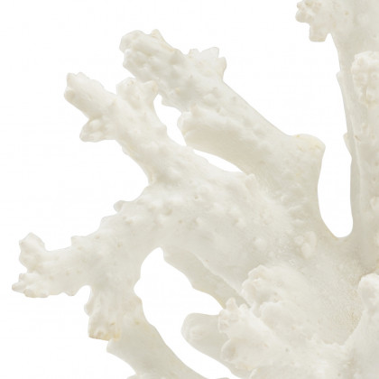 Chelsea House - Coral Sculpture in White