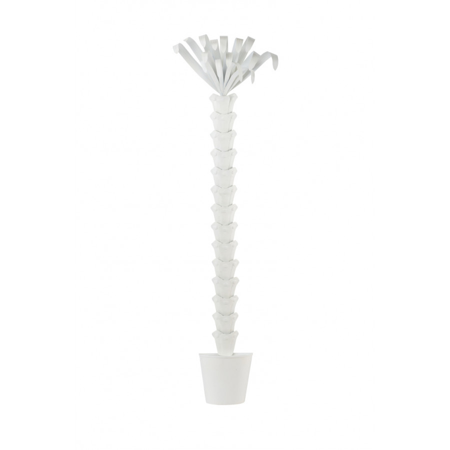 Chelsea House - Palm Tree