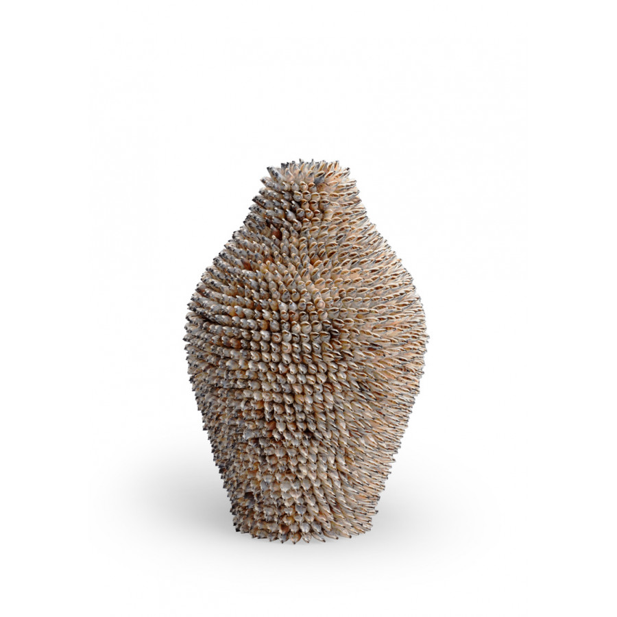Chelsea House - Strombus Shell Urn in Natural