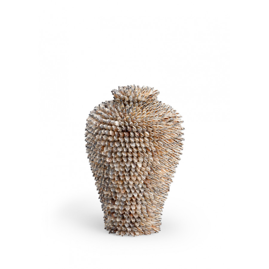 Chelsea House - Strombus Shell Vase in Natural