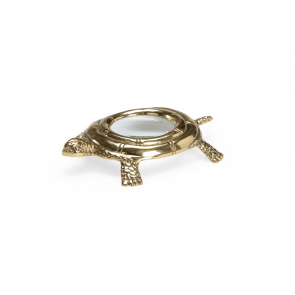 Chelsea House - Turtle Magnifier