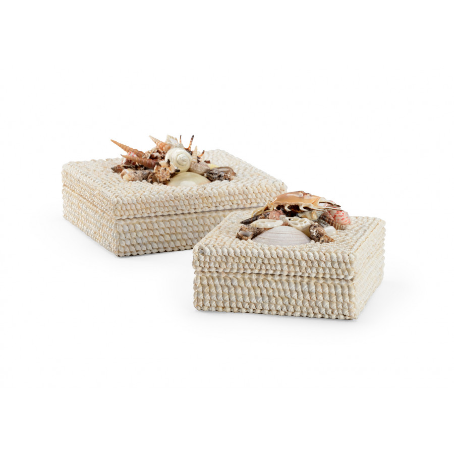 Chelsea House - Shell Boxes (S2) in Natural