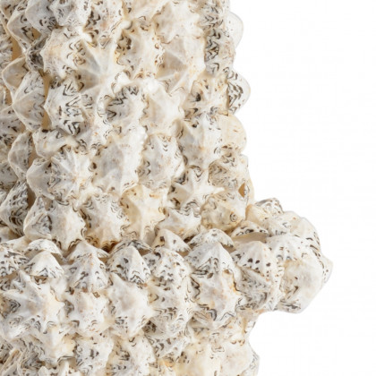 Chelsea House - Shell Obelisk in Natural Patella