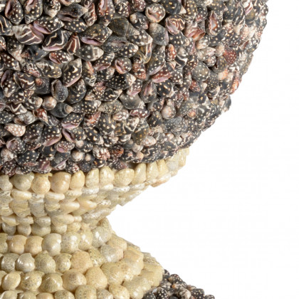 Chelsea House - Multicolor Shell Finial in Natural Nassa/Umbonium