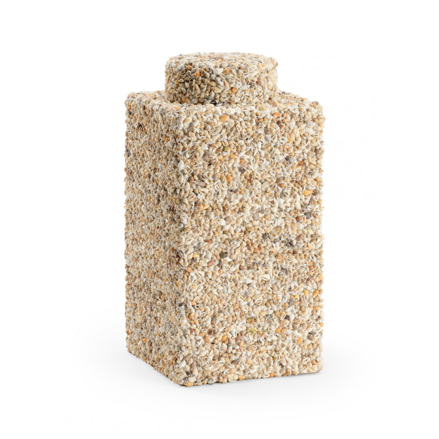 Chelsea House - Tea Caddy Shells in Natural Nassa