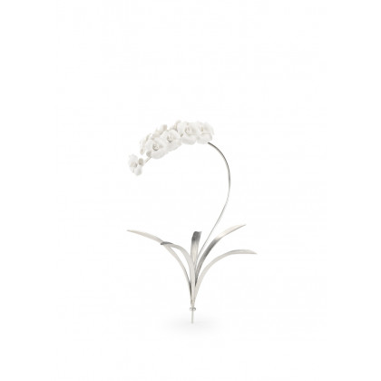 Chelsea House - Orchid Stem