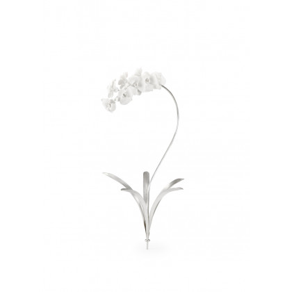 Chelsea House - Orchid Stem