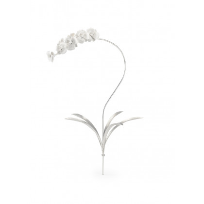 Chelsea House - Orchid Stem