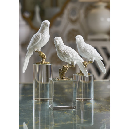 Chelsea House Parrot On Crystal - Square, Small