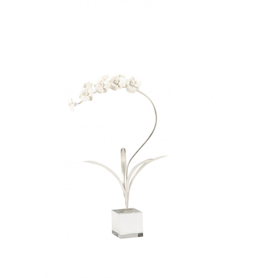 Chelsea House - Orchid In Stand