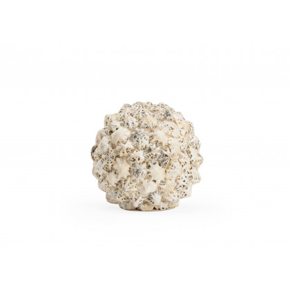 Chelsea House Shell Ball - Medium