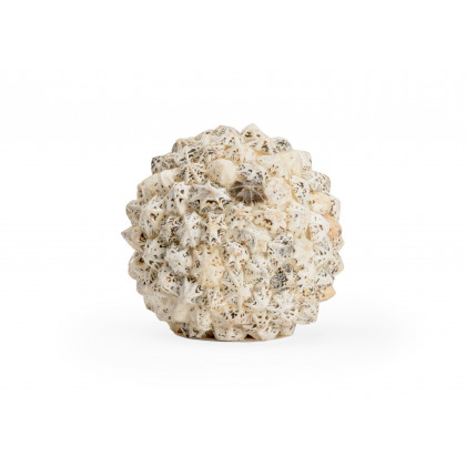 Chelsea House - Shell Ball
