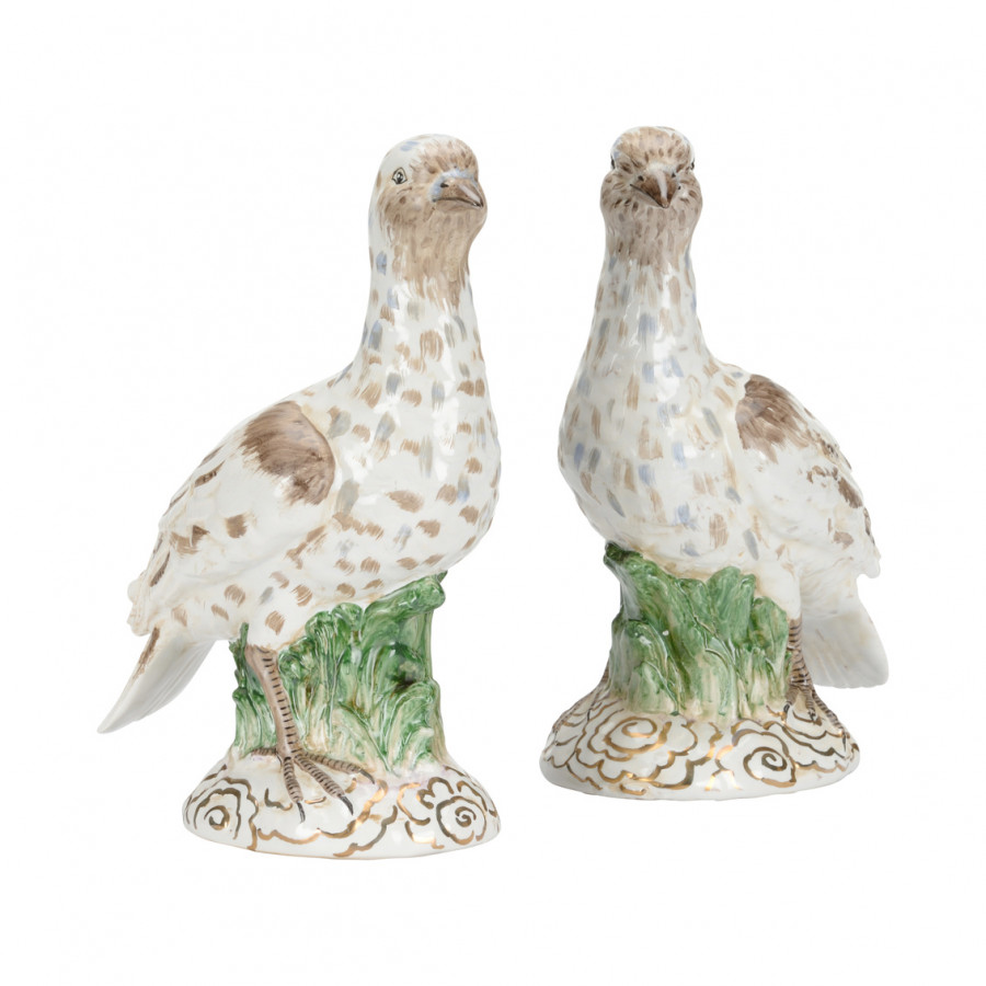 Chelsea House - Terns (Pr)