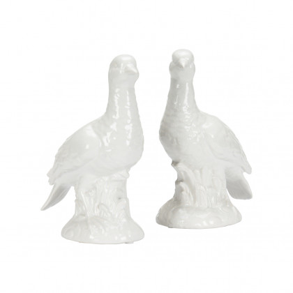 Chelsea House - Terns (Pr)