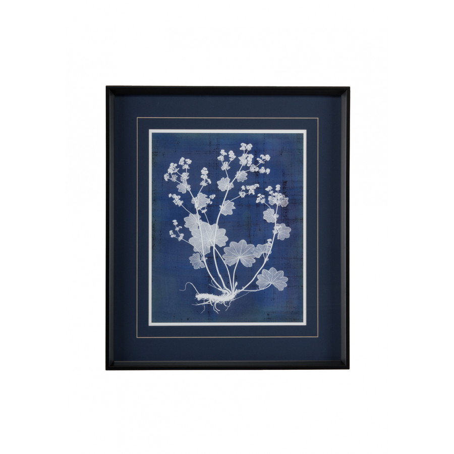 Chelsea House - Natures Imprint I in Multi-Color