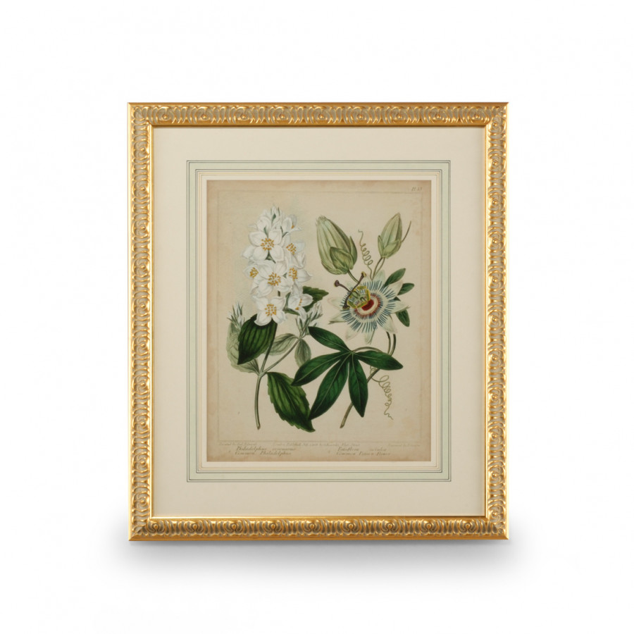 Chelsea House - Cottage Florals II with French Mat in Giclee