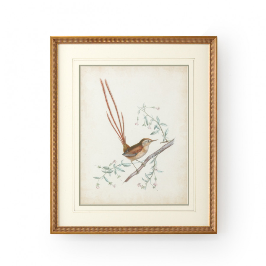 Chelsea House - Delicate Birds I with French Lines in Gold Frame