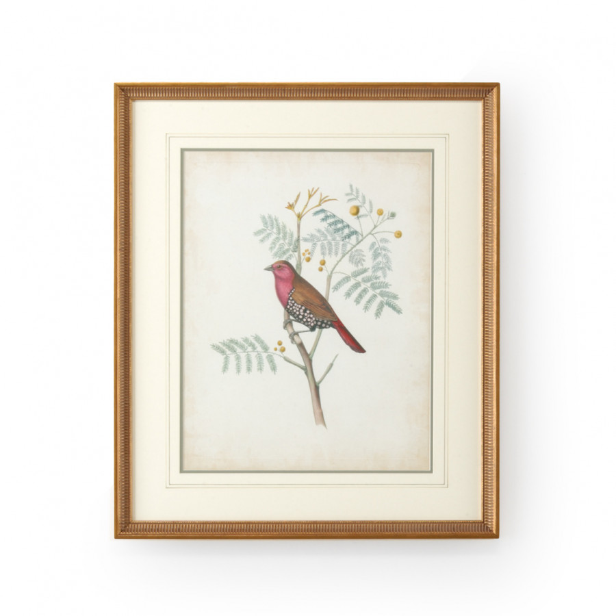 Chelsea House - Delicate Birds II with French Lines in Gold Frame