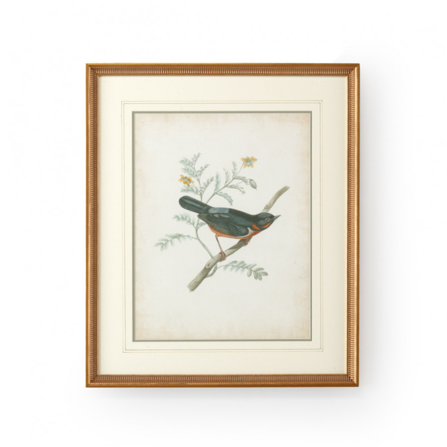 Chelsea House - Delicate Birds III with French Lines in Gold Frame